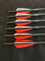 Black Eagle Carnivore 350 .003 Fletched 2.5″ Fusion Vanes Super Sorted 6pk NEW