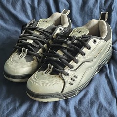 Globe Chet Thomas IV LTD Skateboarding Shoes Silver Men’s US 11 D SUPER RARE
