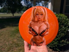 New Custom Streamline Neutron ENGINE 175gm Distancce Driver PDGA Approved