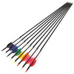 28″ 30″ 31″ Archery Carbon Arrows SP500 Feather Screw-in Tip Recurve Bow Hunting