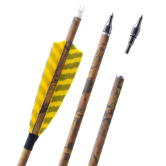 6/12 30″ Carbon Arrows SP500 4″ Feather Compound Recurve Bow Archery Hunting