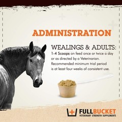 FullBucket Equine Probiotic Granules with Saccharomyces boulardii for Daily D…