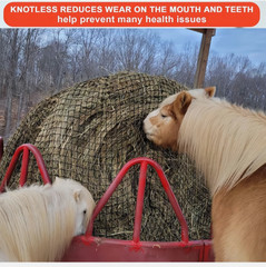 Knotless 5x5ft Round Bale Horses Hay Net 1.75″ Round for Livestocks Slow Feeder