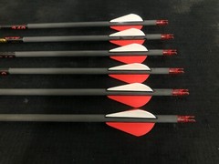 Gold Tip Hunter 340 Carbon Arrows w/ 2″ Raptor-X Vanes 6pk BRAND NEW