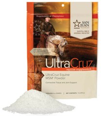 UltraCruz Equine MSM Joint Supplement for Horses, 1 lb, Powder (21 Day Supply)