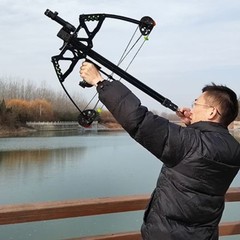 Used Compound Bow Set 40lbs Steel Ball mini Arrows Dual-use Archery Hunting Shot