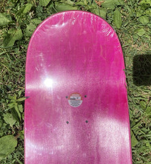 Antihero Grant Taylor Book Of Anti Hero Series Skateboard Deck Todd Francis 2018