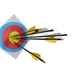 32 Inch Carbon Archery Arrows,Spine 400 with Removable Tips, 4inch Turkey Feathe
