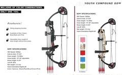 Compound Bow Archery kit for Youth ＆Beginner,15-29 lbs,Adjustable LW Hunting Bow
