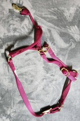 Weaver Leather Nylon Horse Halter Red 1 Inch Average Horse 800 To 1100 Pounds