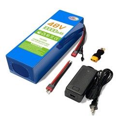 48V10Ah Lithium Battery with 30A BMS, for 100-1000W motor