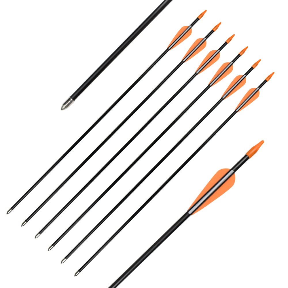 Elong Fiberglass Arrows Archery 24 Inch Target Shooting Practice Safetyglass …