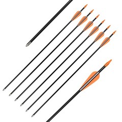 Elong Fiberglass Arrows Archery 24 Inch Target Shooting Practice Safetyglass …