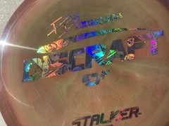 Discraft Paige Pierce 5X ESP Stalker-Swirly Brownw Halo & Holographic Money Foil