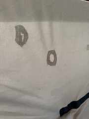 84” Bucas Buzz Off Full Neck Horse Fly Sheet w/Belly Protection – Used