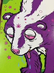 (Grail) Todd Bratrud Nike SB High Five Skunk Dunk Skateboard Deck