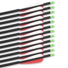 Hunting 12pcs 28″ Carbon Arrows Vane Spine 400 for Compound/Recurve Bows