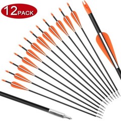 12Pcs 31 Inch Archery Fiberglass Target Practice Arrows for Recurve Compound Bow