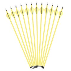 12pcs 30″ Carbon Arrows Spine 500 OD7.8mm Archery Compound Recurve Bow Hunting