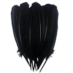 24Pcs Black Turkey Feathers 10~12in Long,Beautiful Feather for Crafts 26-31cm,Bu