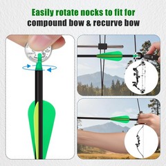 14 Pack 30 Archery Carbon Arrows,Practice Hunting Arrow with Removable Tips Shaf