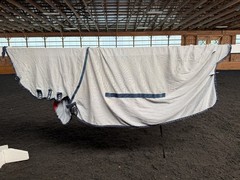 81” Bucas Buzz Off Full Neck Horse Fly Sheet – Used