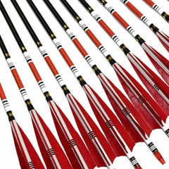 12PCS 31-inch Carbon Arrows Turkey Feather Hunting For Compound & Recurve Bow