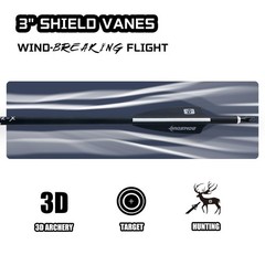 BOWSOUL 31Inch Carbon Arrows for Target Practice Hunting Arrow with Removable
