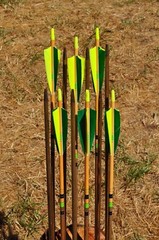 Premium Wood Arrows, Spined and Weight Matched. Dozen Packs