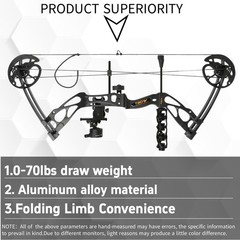 Archery Compound Bow Arrow Set 325fps 80% Let-Off 0-70Lbs Target Hunting LH/RH