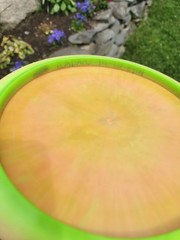 Discraft Paul McBeth Prototype Esp Anax 172g