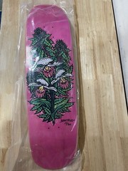 Todd Bratrud MN State Flowers Skateboard Limited 19/30 Nike SB 420 Strangelove
