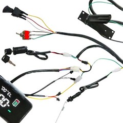 36V 48V 52V 60V 62V 72V 84V 350-3000W Brushless Controller & Display For E-Bike
