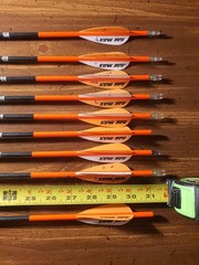 8 Easton Axis Long Range 250 Spine 31″