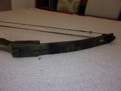 Bear Archery Black Bear Compound Bow