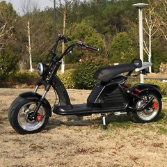 Citycoco 18 Inch Fat tire Electric Scooter 4000W Motor Max Speed 75 KM/H Black