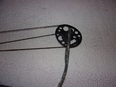 Parker Wildfire XP Compound Bow