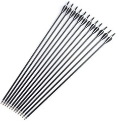 12 Pcs 30″ Fiberglass Arrows Archery OD 8mm For Recurve/Compound bow Hunting US