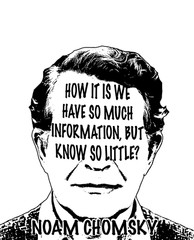 Noam Chomsky Quote Stickers