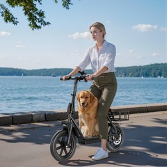 Electric Scooter with Seat for Adults 500W Motor E Scooter W/ Rear Box 14″ Tire