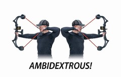 Accubow 2.0 Carbon Fiber Archery Trainer Bow Virtual Hunting Practice System
