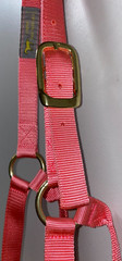 NEW PINK LARGE 1100 – 1500 LBS NYLON HORSE HALTER GOLD TONE HARDWARE