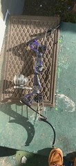 bowfishing bow