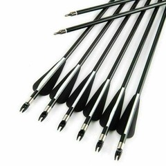 12pcs 30 inch Archery Fiberglass Arrows Spine 500 Hunting Target Practice Arrows