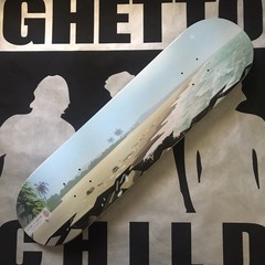 ELEMENT Skateboard Landscape South America Deck Future Is Nature Beach Litter