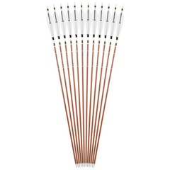 12X 31″ Pure Carbon Arrows Natural Feather SP340 400 500 600 Archery Bow Hunting