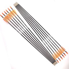 12PCS 31-inch Fiberglass Arrows SP700 Archery Hunting For Compound Recurve Bow