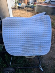 LeMieux Prosport Suede Dressage Pad White