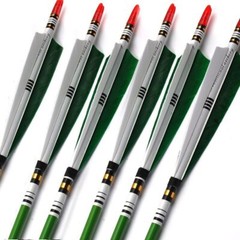 30″/32″ Carbon Arrows Turkey Feather Spine 500 for Hunting Compound Recurve Bow