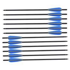 12Pcs Hunting Archery 20/22» Crossbow Bolts Carbon Arrows with 4» Vanes Points